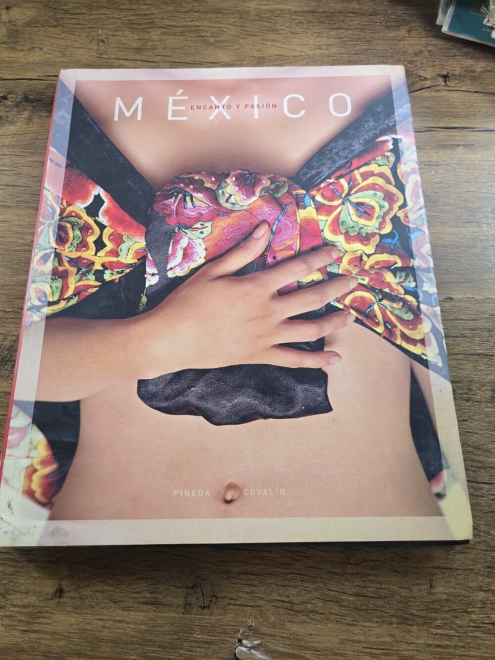MEXICO Encanto y Pasion Pineda Covalin 2005 Mexican Folk Art Fashion Design Book